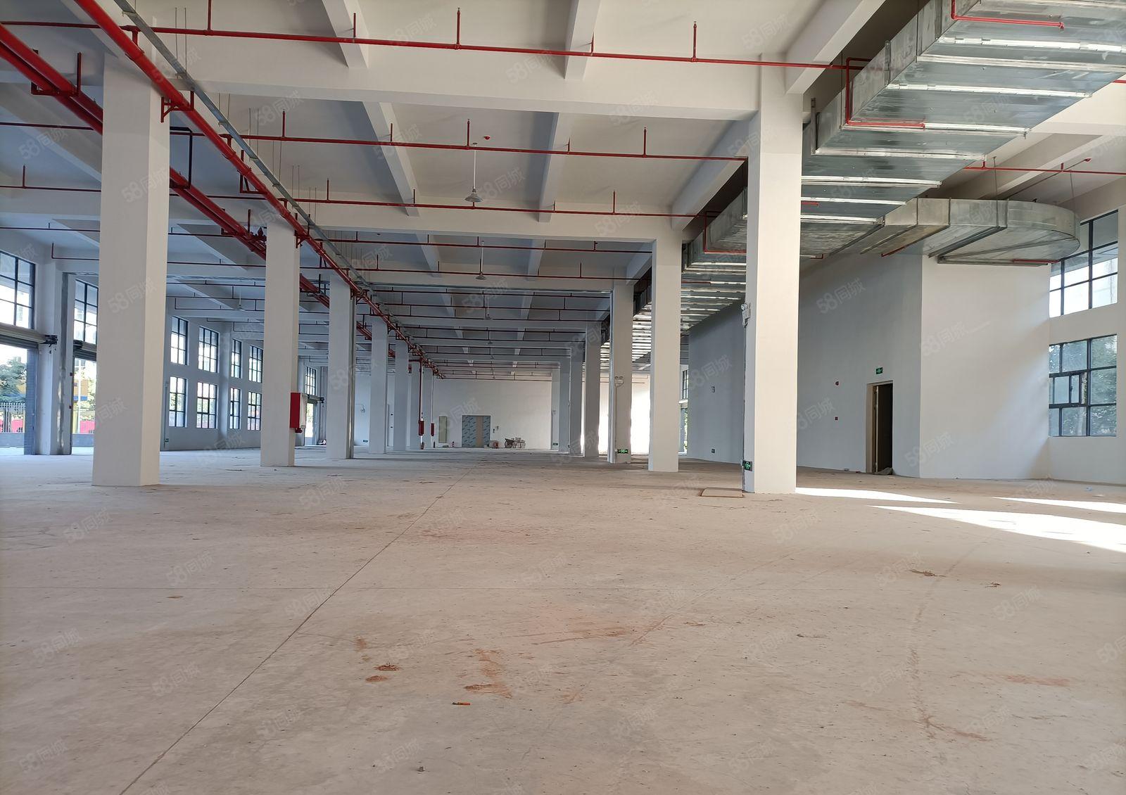 惠阳经开区50000平大型工业园10元出租