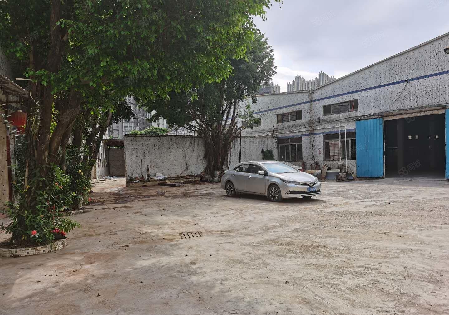 惠阳秋长西湖新出钢构独门独院4600平米厂房可分租