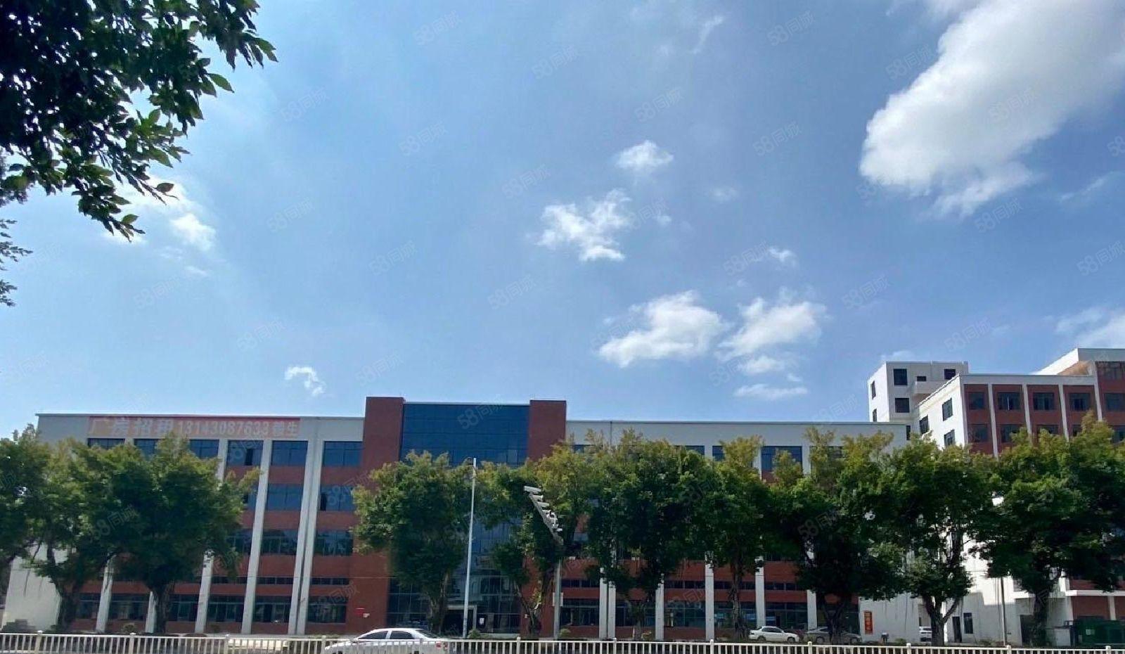 13元惠阳区淡水红本厂房5000平出租可分租可办环评原房东