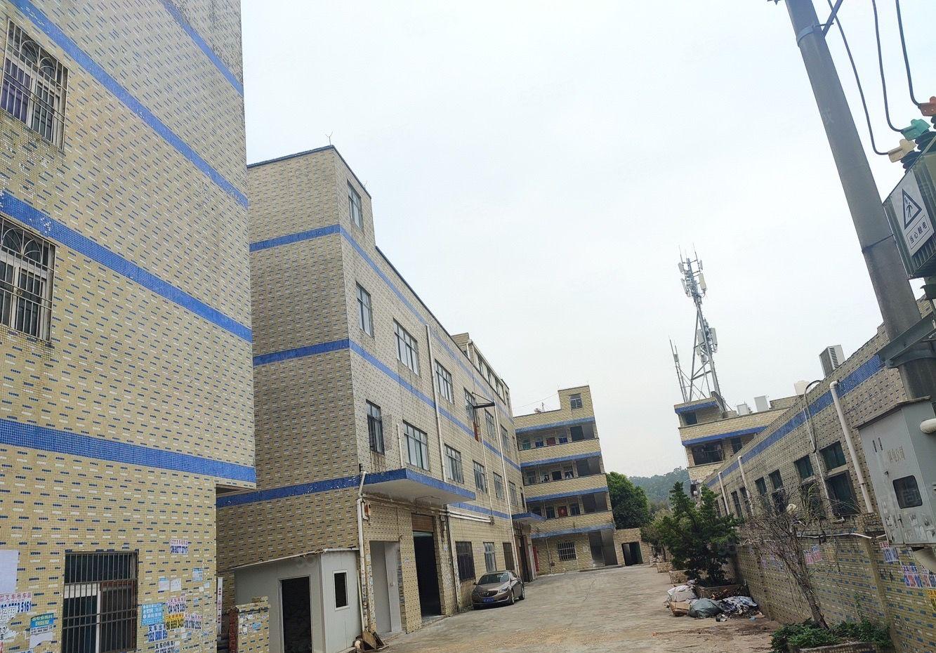 惠阳新圩临深路段3000标准厂房出租独门独院大小分租500起