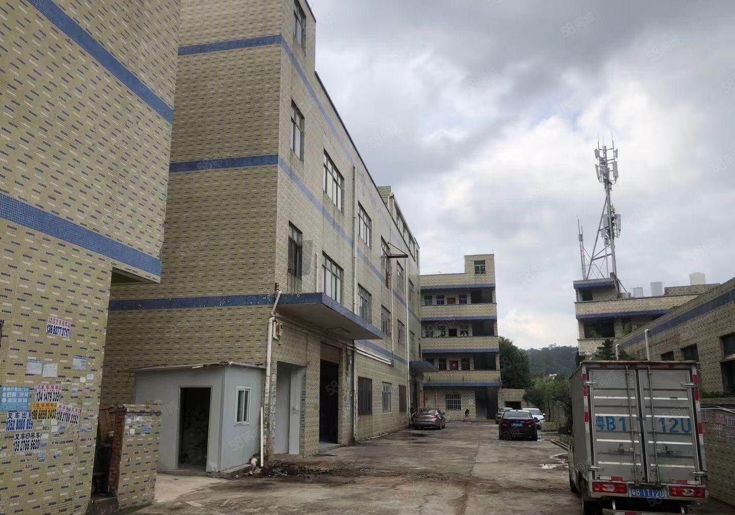 原房东独院标准厂房工业用地深圳交界处空地大环境优