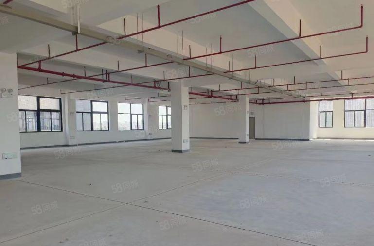 15元惠阳秋长新厂房独栋独院原房东出租单层2000平方.