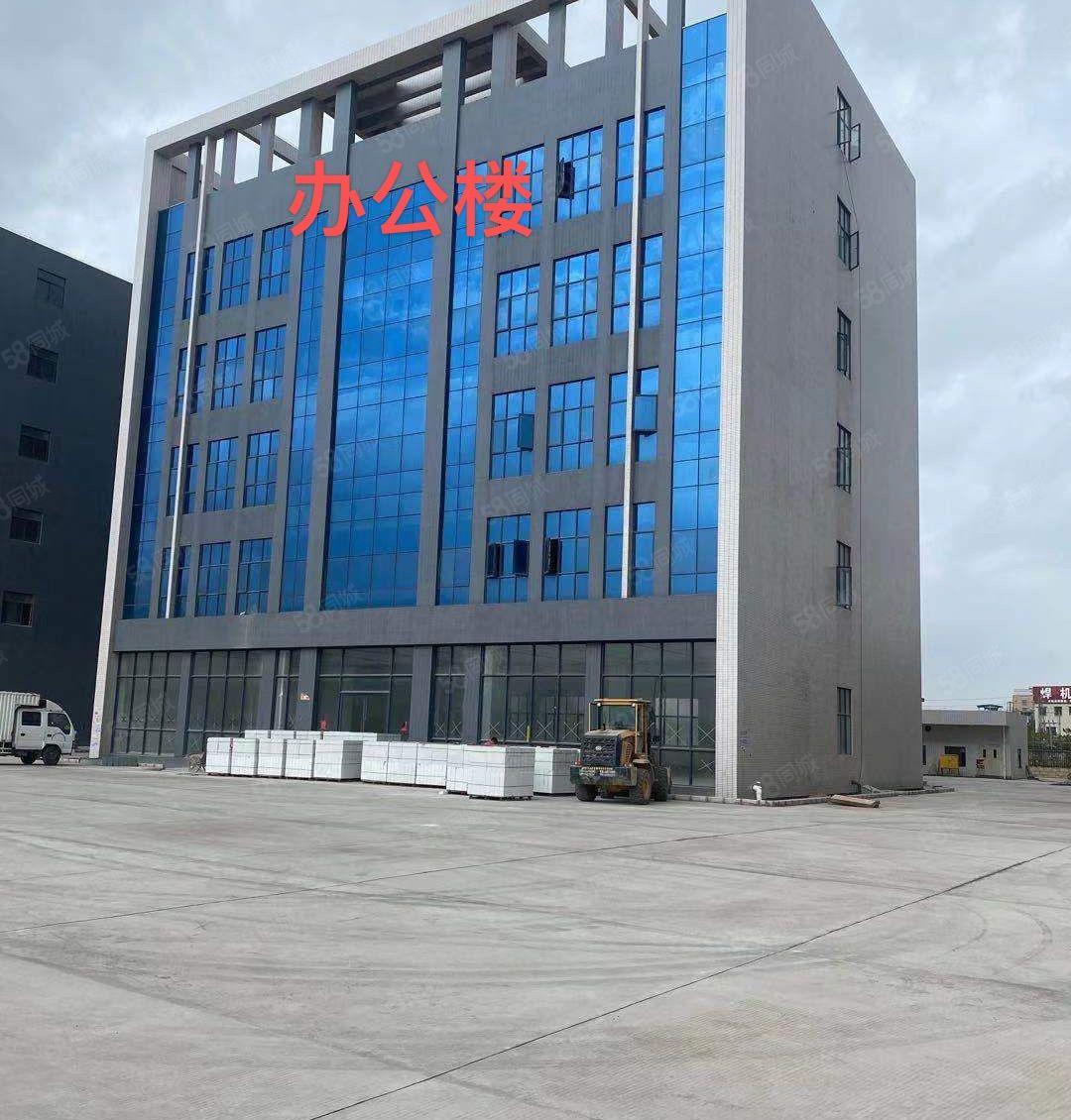 镇隆镇独门独院厂房出租全新厂房出租