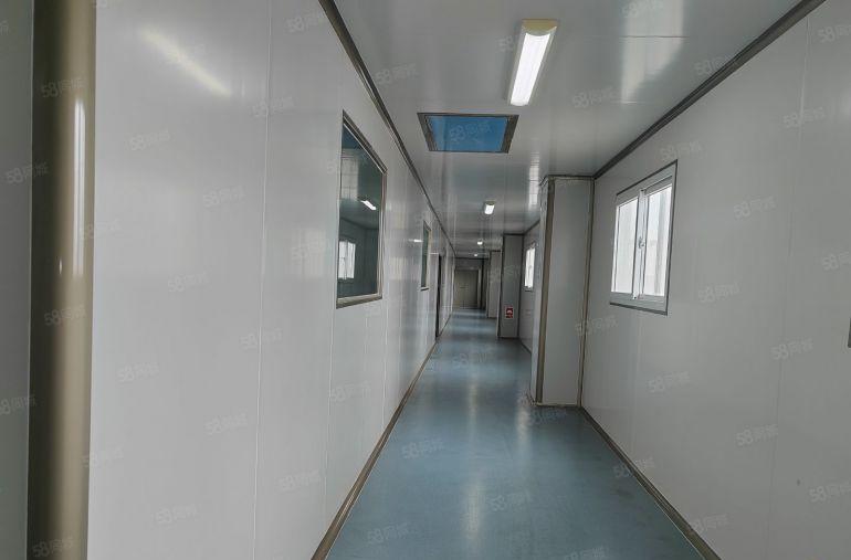 惠阳秋长白石村原房东带精装无尘车间化妆品车间低价出租