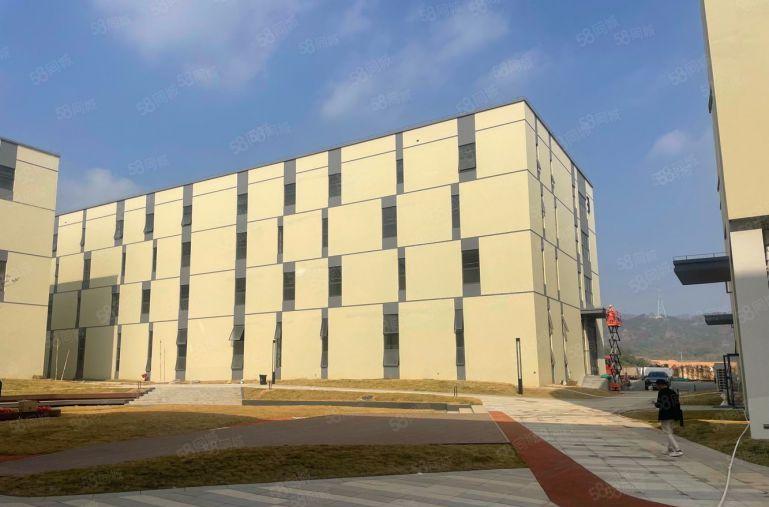 淡水1000平米原房东厂房，出租带精装修可办环评。可分租