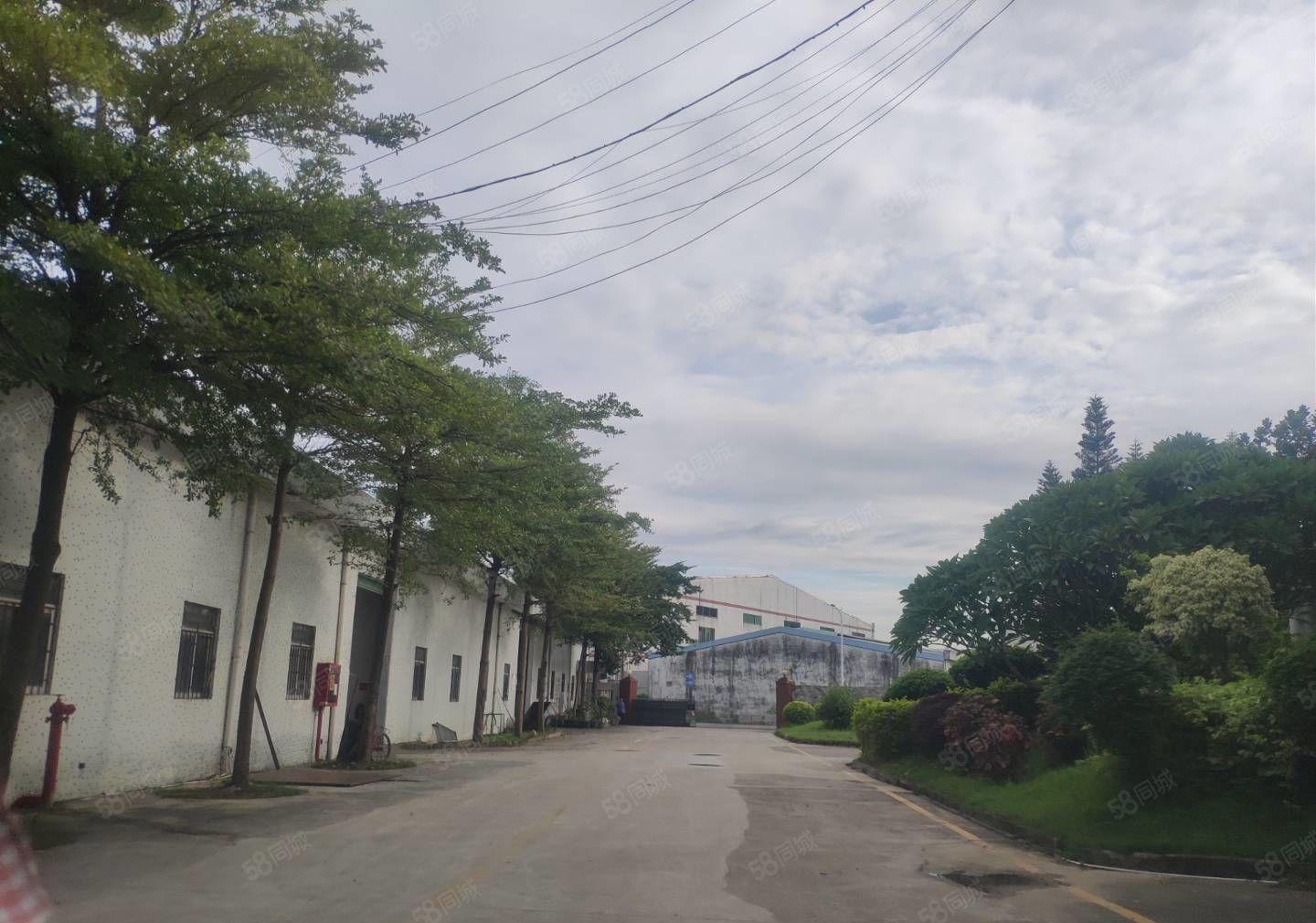 惠阳 沙田2000平独院钢构厂房出租实际面积原房东出租