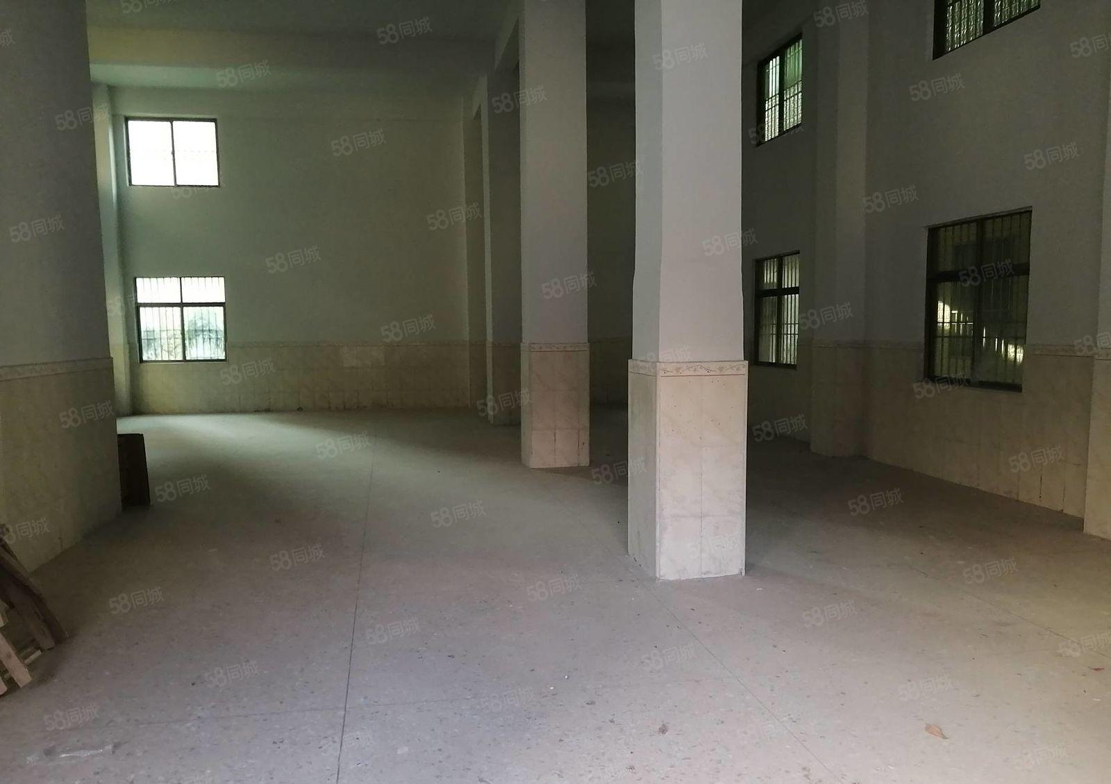 惠阳白石新出原房东标准厂房一楼300平实际面积