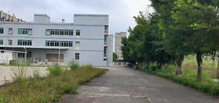 花园式独院厂房出租 13元平方 带喷油环评设备 带空地3万平