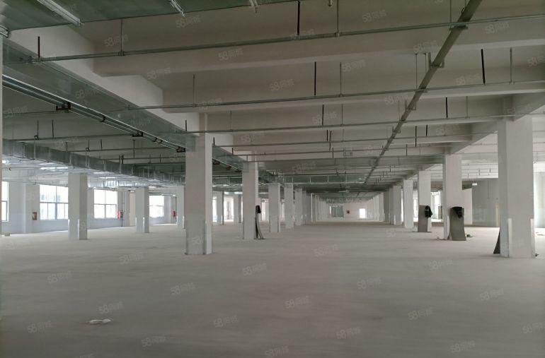 18元惠阳5600平1楼全新工业厂盛大招商带丰厚政策补贴