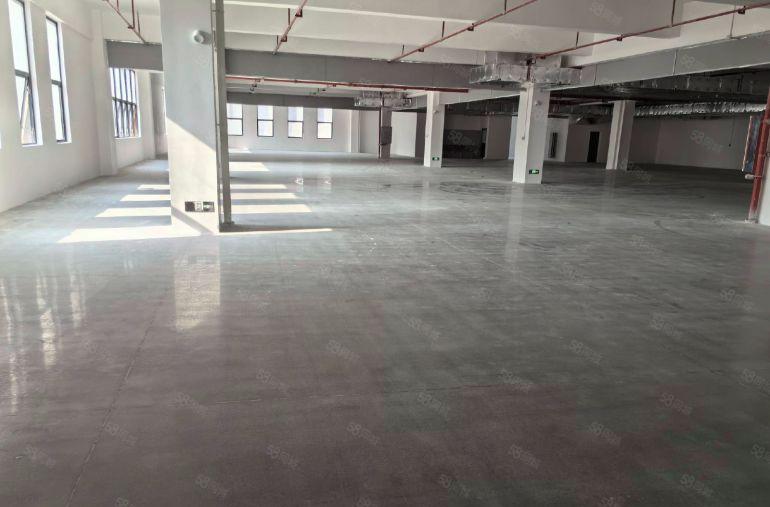 惠阳三和全新独栋厂房5000平 单层面积1000平低价出租