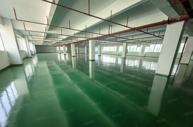 秋长白石高新园区原房东红本厂房1400平可分租现成地平漆低价