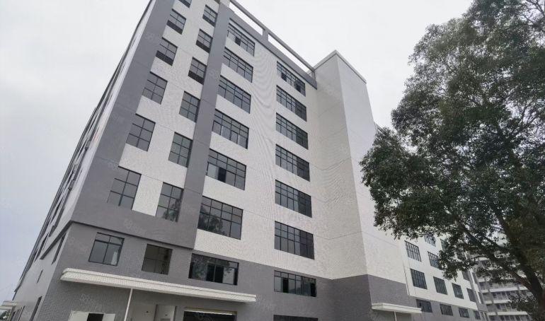 惠阳临深新出原房东直租红本全新标准厂房38363平方米