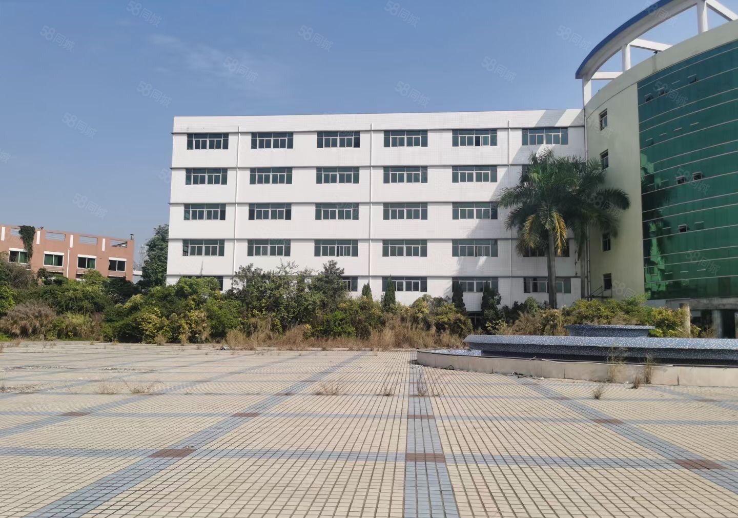 惠阳新圩约场花园式厂房88000平方大小分租