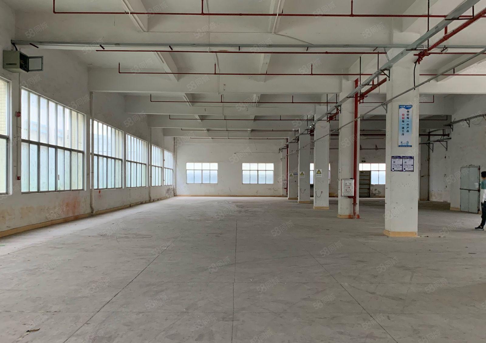 惠阳淡水房东自用层高6米厂房分租一楼1650平