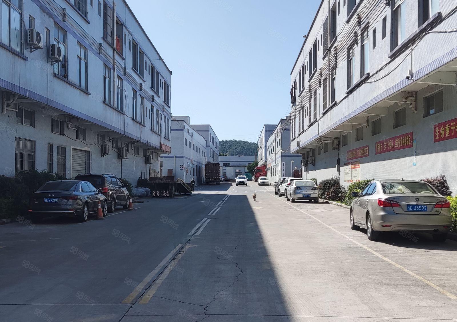 新圩长布工业园3000平方独门独院钢构厂房出租形象好空地大