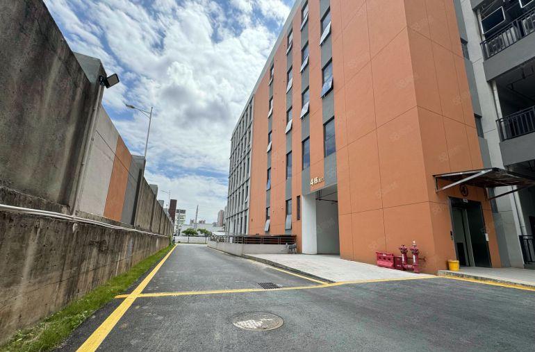 9.9元大亚湾原房东单层2500平出租 大小分租 配套齐全！