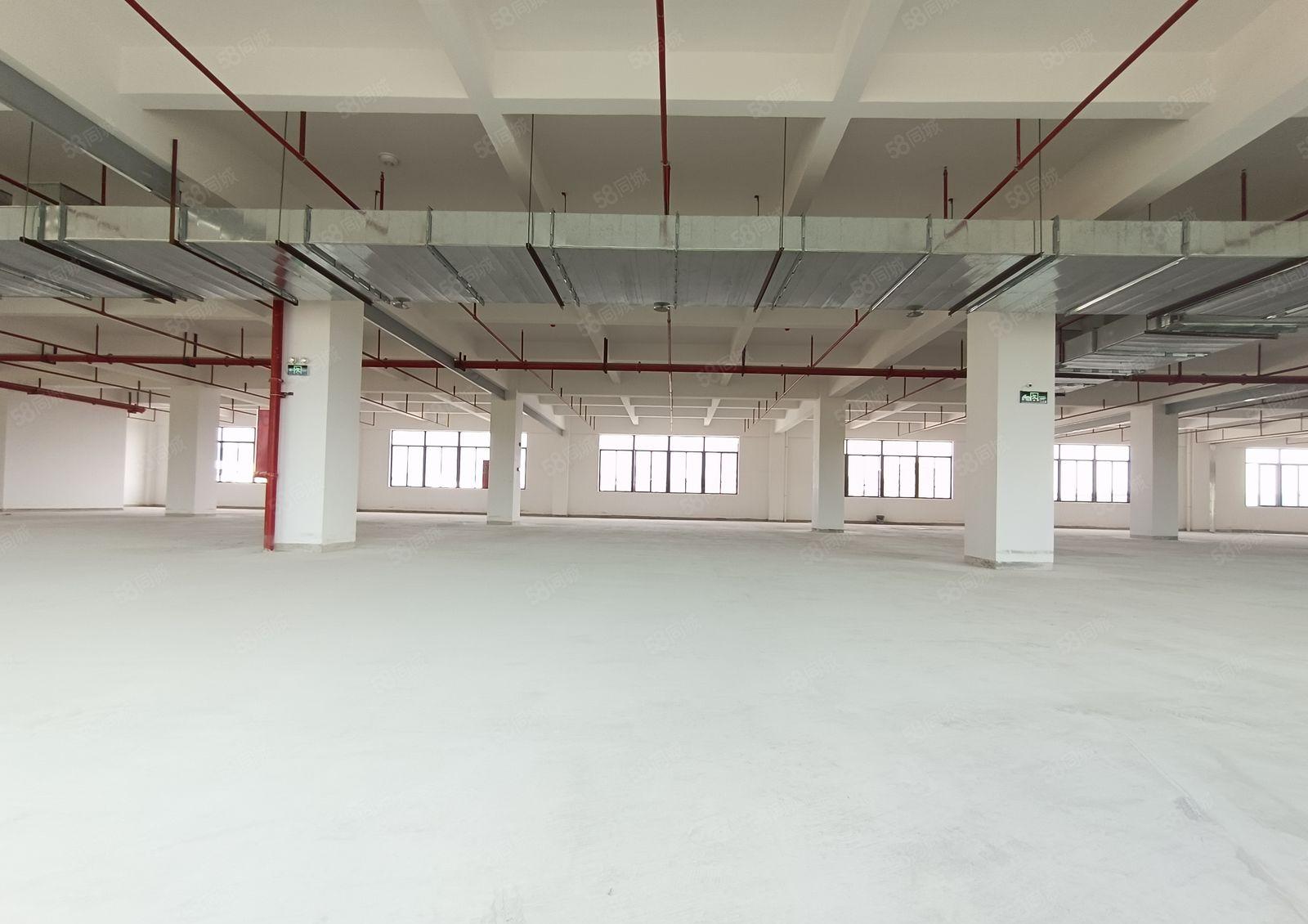 全新建设15元含税价标准红本厂房出租，原房东实际面无公摊！