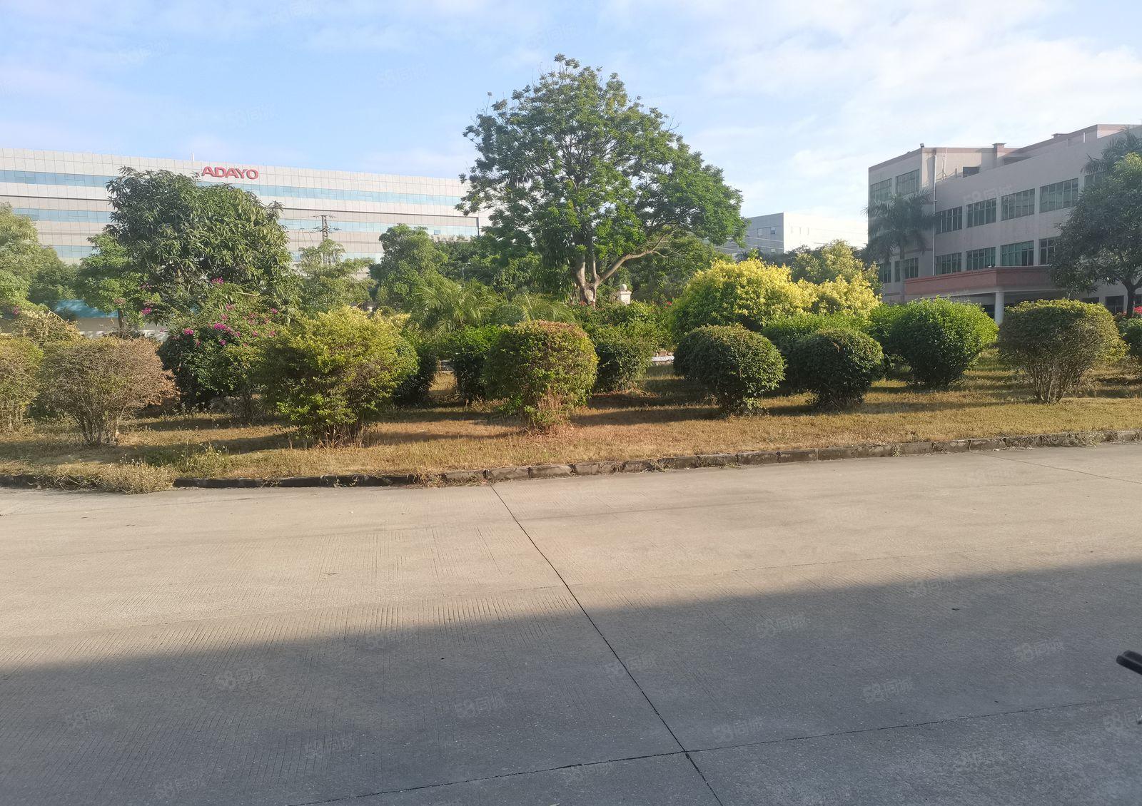 惠阳原房东钢构10000平米厂房仓库出租可分租有红本证件齐全