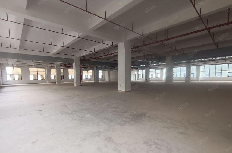 惠州市惠阳区原房东0公摊全新国有双证厂房超低价出租