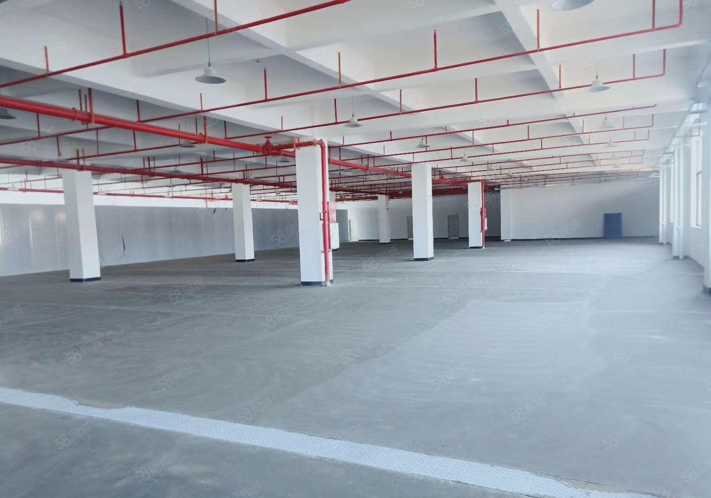 惠阳永湖工业区全新校准厂房出租3万平方 大小可分租