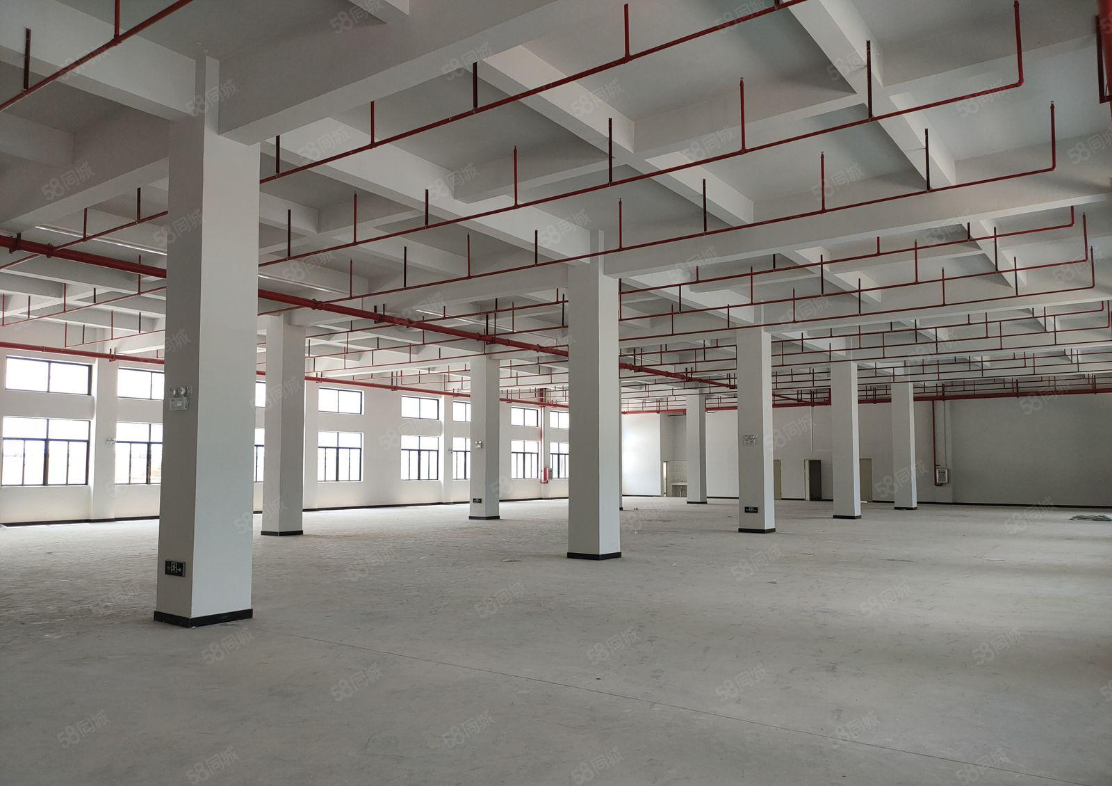 原房东独院厂房出租（厂房6000平，宿舍1200平）