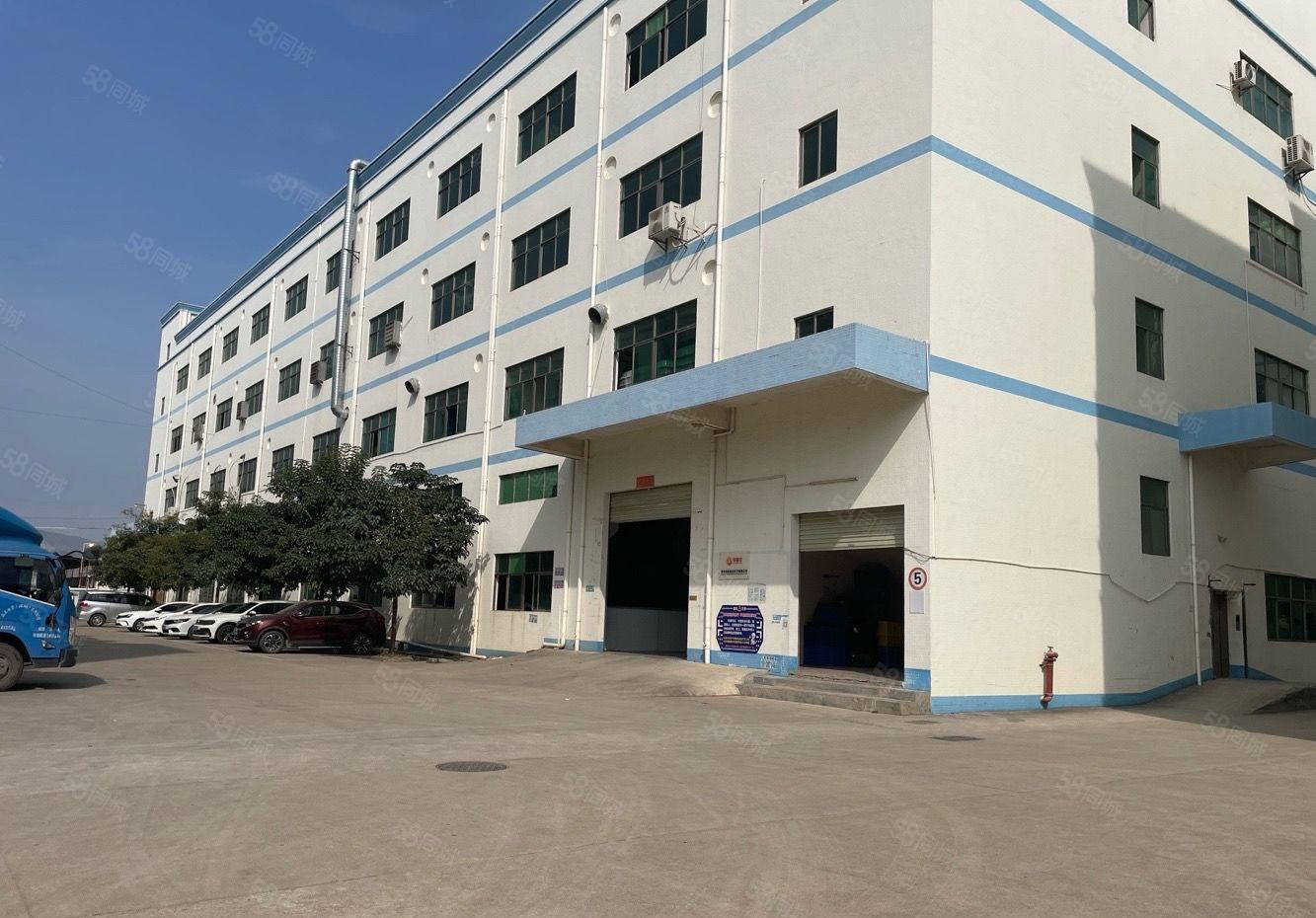 秋长新塘2千平一楼厂房出租 层高6米 证件齐全 形象好