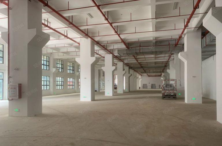 惠州秋长茶园开发商8块实际面积2000平起租一楼8米楼上6米