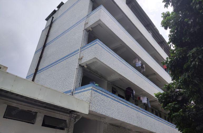 惠阳新圩工业园区独院2百5百8百1千平一楼仓库厂房出租可分租