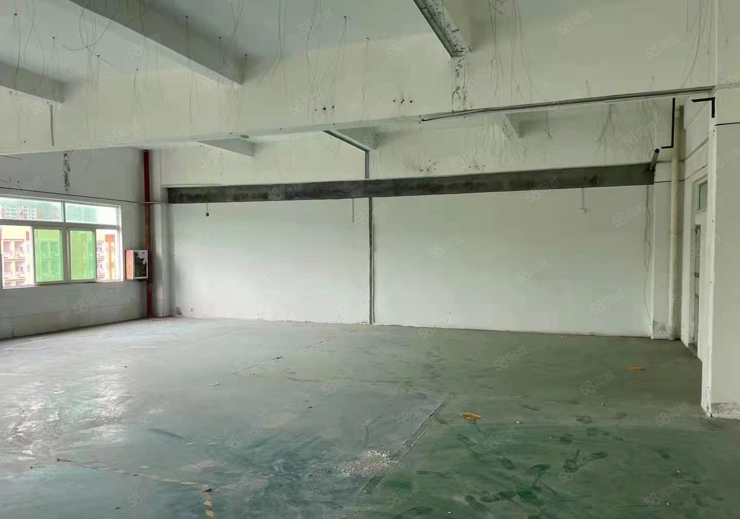 惠阳淡水新出标准厂房550平，证件齐全