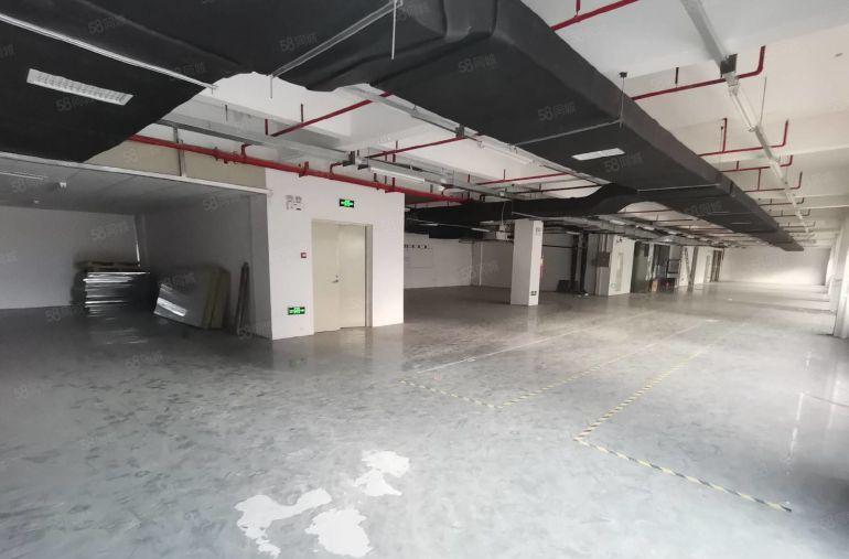 价格8元!  镇隆皇后楼上1180平带装修厂房出租可分租