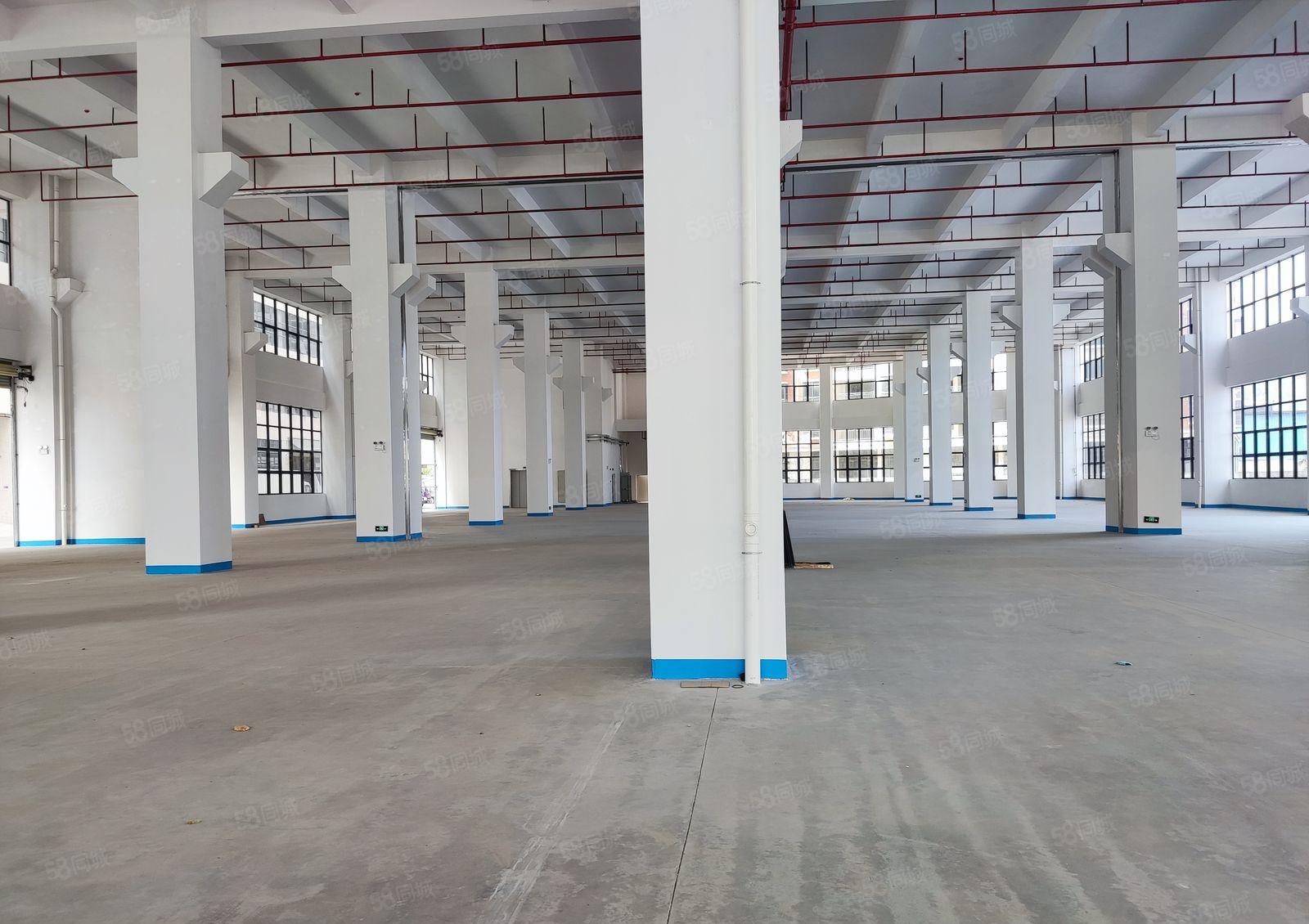 惠阳区秋长镇白石全新新产业园重工业机械厂房69500平米招