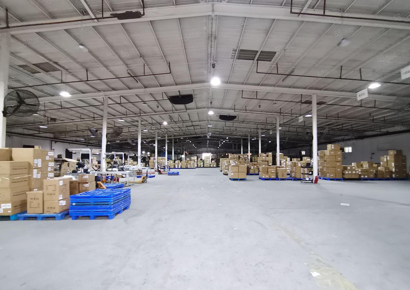 2百5百8百1千平起分租新墟塘口工业区4千平钢构仓库厂房出租