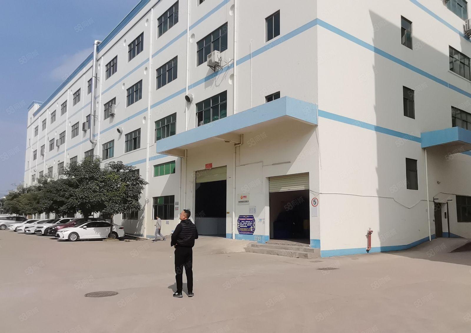 秋长 原房东 一楼1600平 现成行车装修办公室 可办环评