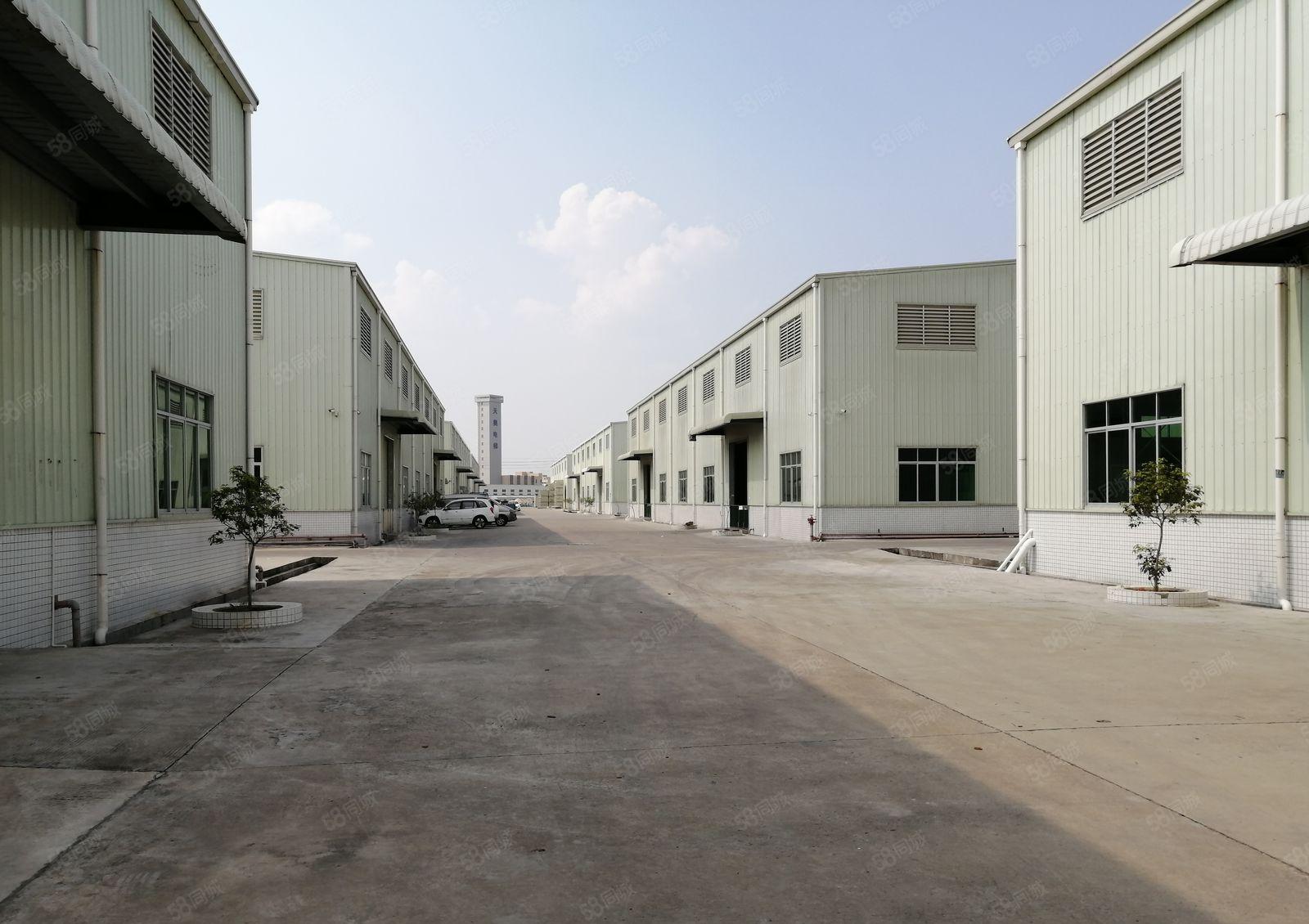 800平起新圩万里工业区原房东5000平钢构厂房出租可办环评