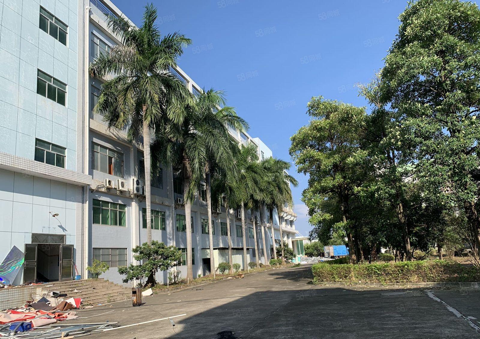 惠阳秋长新出红本独门独院标准厂房27788平，可分租