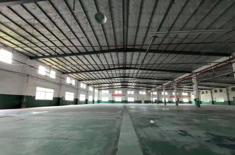 惠阳沙田新出原房东8米独院钢构厂房5800平米低价出租