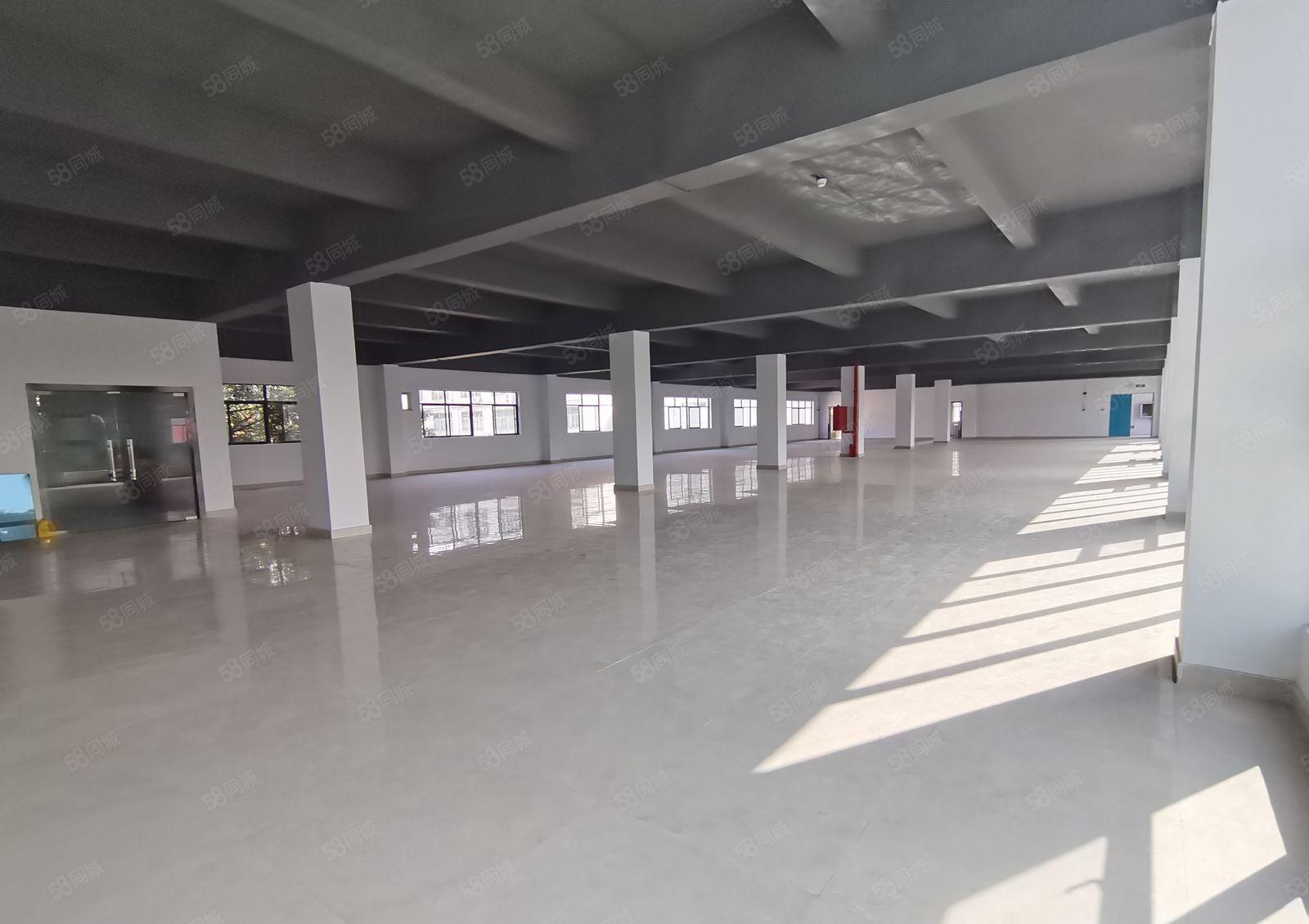 新墟花边岭工业区原房东1600平独栋仓库厂房出租可分租精装修