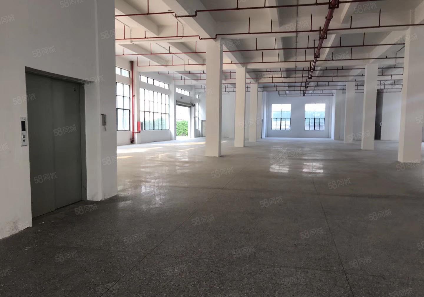 惠阳秋长原房新建独栋标准8000平米可分租无公摊