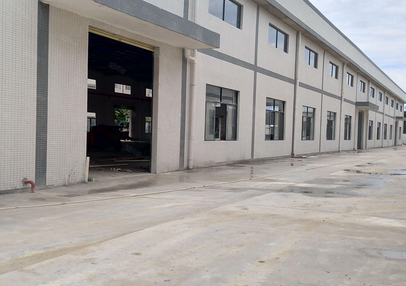 全新单一层钢结构厂房出租，2500平米2栋