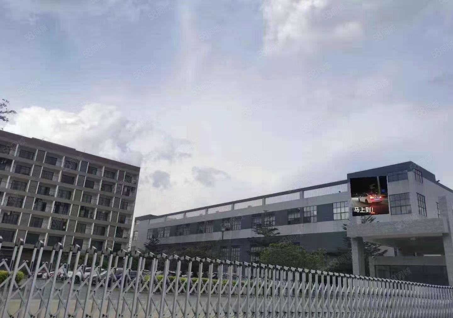 仲恺陈江新出原房东2层独栋厂房7180平一楼11米带现成行车