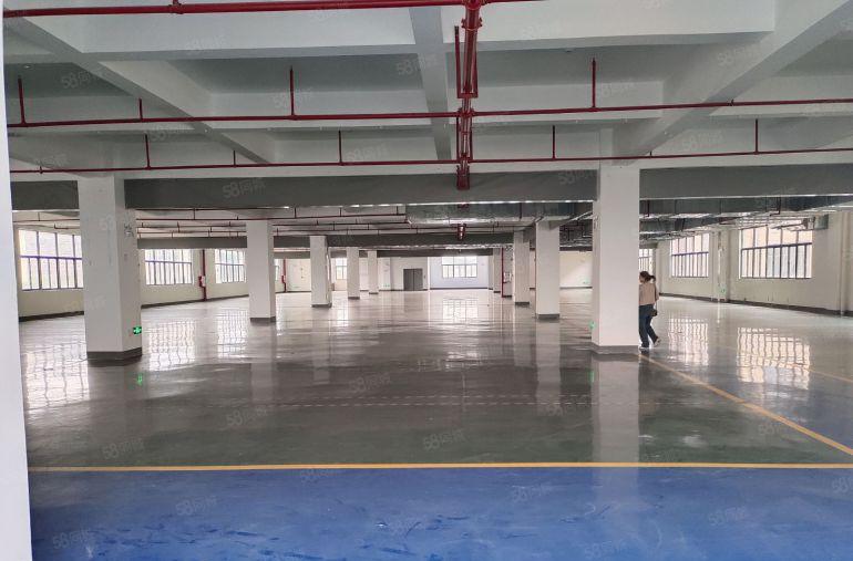 临深惠阳新圩南坑塘吓原房东精装修独栋实际面积低价出租可分租