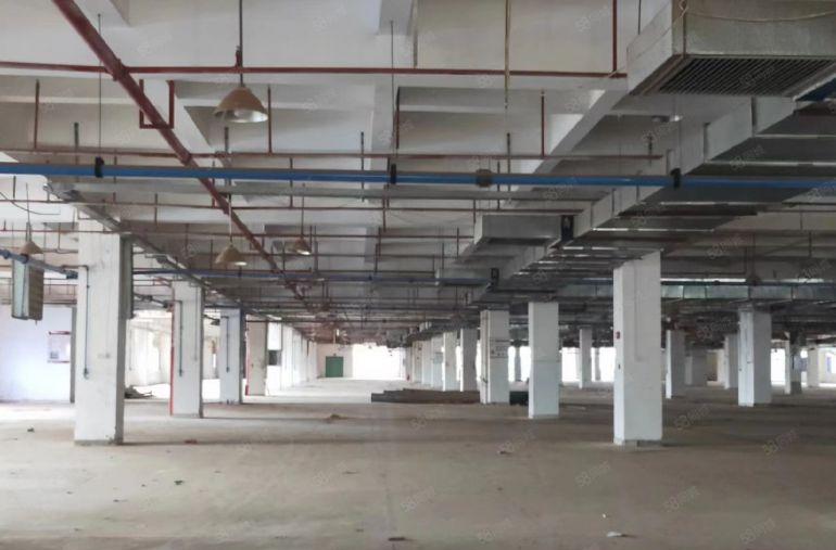 惠阳秋长原房东标准厂房51000平方 自带家具环评