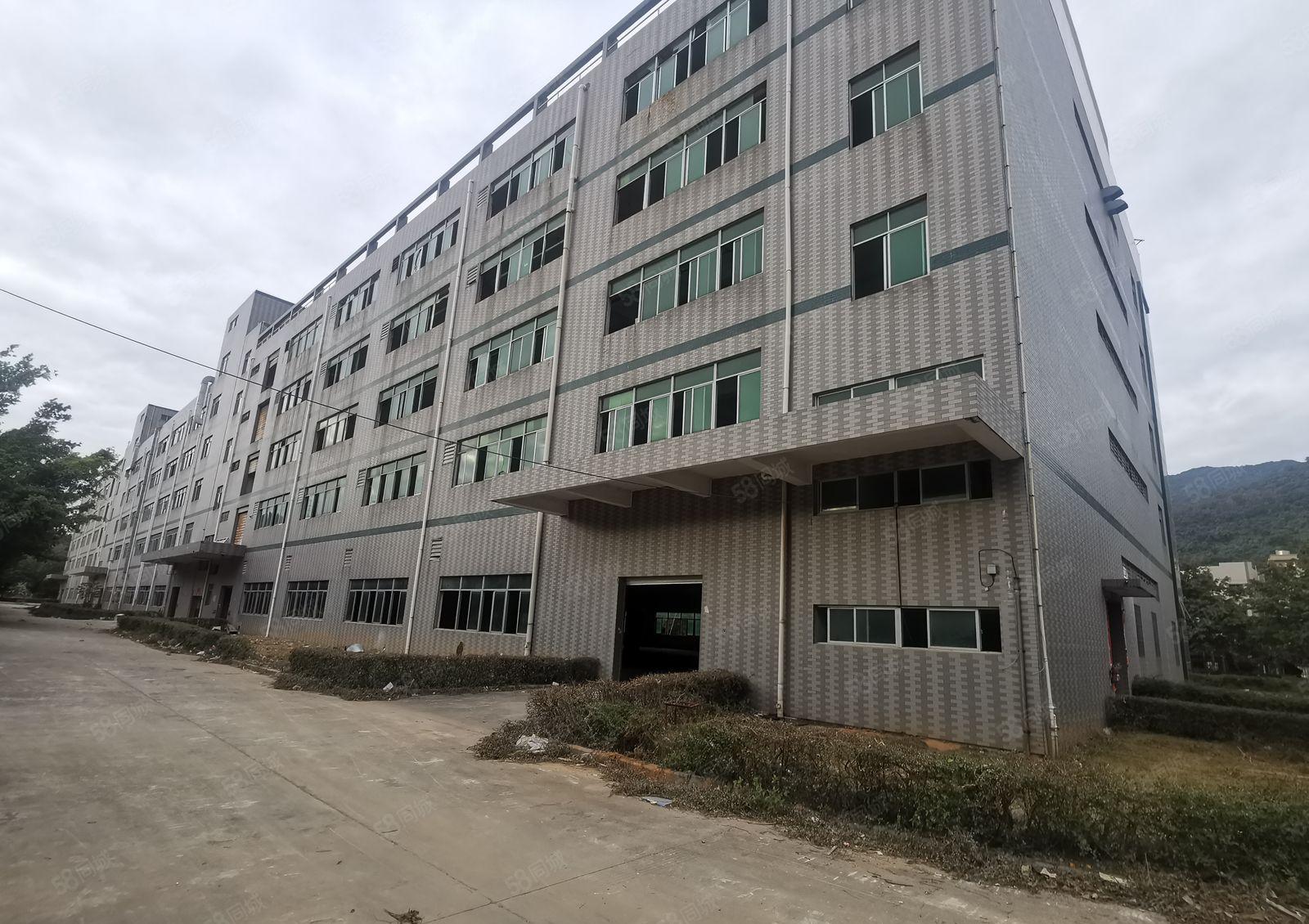 新圩花园式红本标准厂房四万平米出租，原房东无公摊，空地超大！