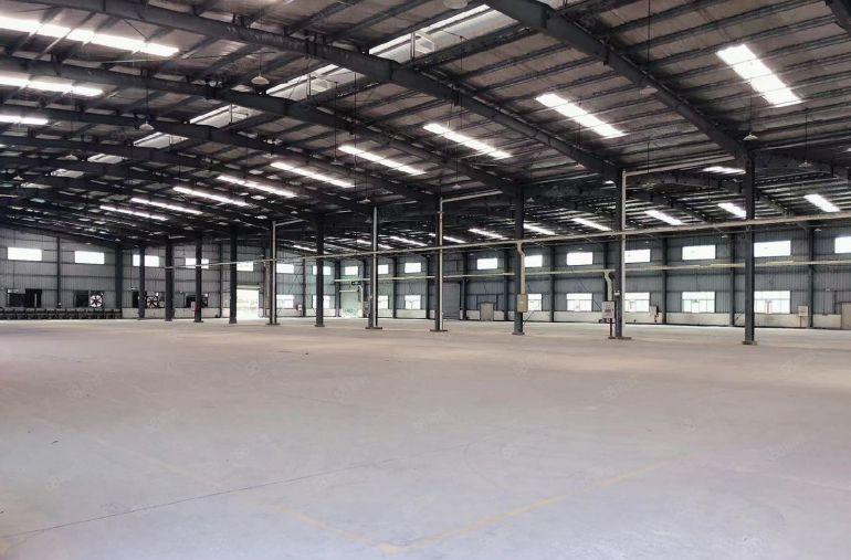 惠阳新圩临深滴水9米钢结构，实际面积出租，1000平起分租