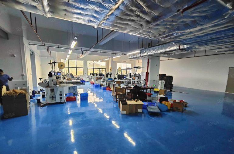 8元！沙田镇2000平现成装修办公室原房东厂房出租