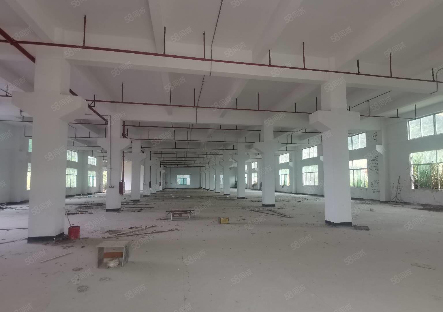 （独院厂房出租）新圩独栋11800平厂房出租，证件齐全可分租