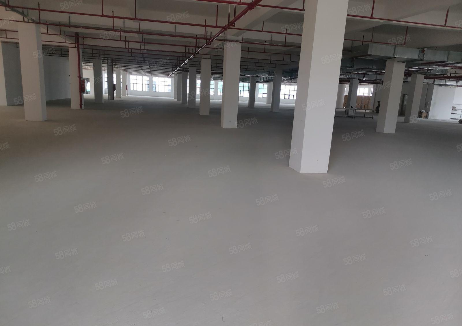 全新带5吨货梯单层4500平出租！四面通透！