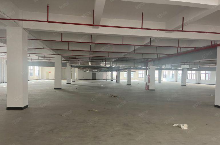 惠州上市公司标准独院厂房出租16320平方米可办环评