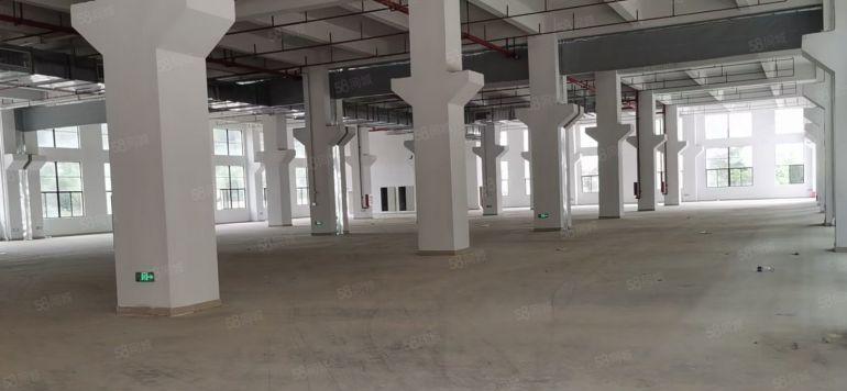 惠阳区永湖镇厂房出租  园林绿化式20万可分租