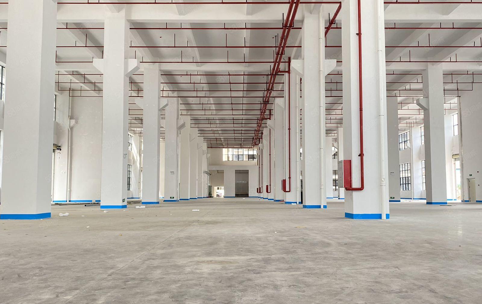 临深20米 秋长原房东 8万平全新重工业厂房出租20元可分租